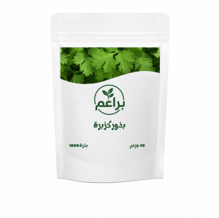 بذور كزبرة للزراعة المنزلية 