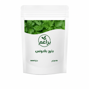 بذور بقدونس 