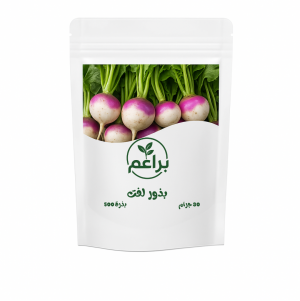 بذور لفت للزراعة المنزلية 
