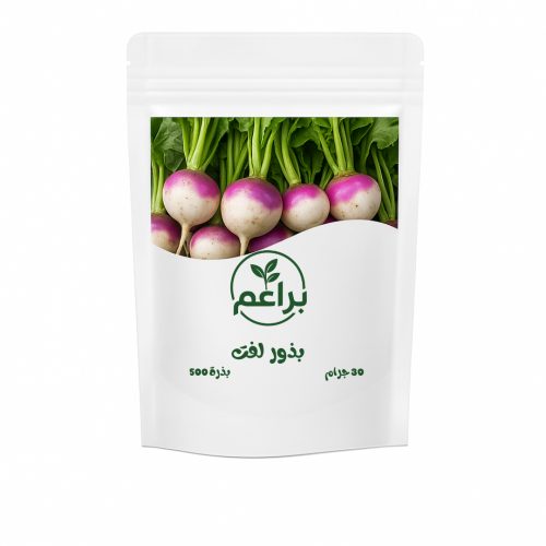 بذور لفت للزراعة المنزلية 