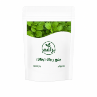 بذور رجلة للزراعة المنزلية 