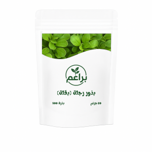 بذور رجلة للزراعة المنزلية 
