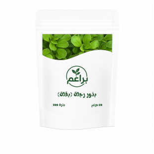 بذور رجلة للزراعة المنزلية 