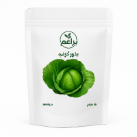 بذور كرنب للزراعة المنزلية 