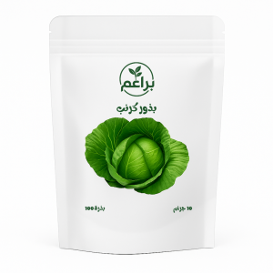 بذور كرنب للزراعة المنزلية 