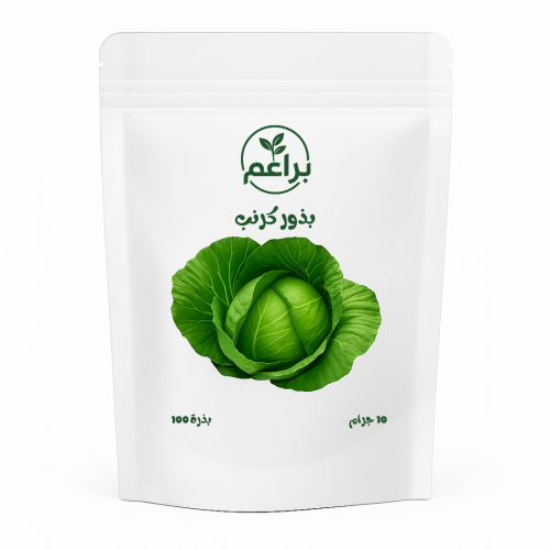 بذور كرنب للزراعة المنزلية 